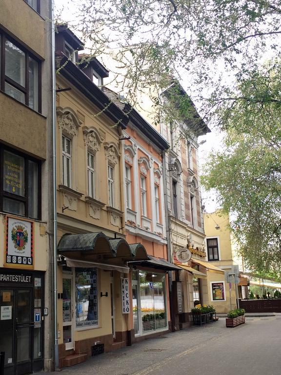 Kucko Panzio Gyor Apartment Bagian luar foto